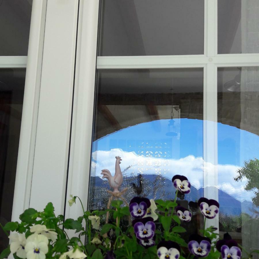 "Villa Giulia Nicole" Apartaments- Country House Malcesine Kültér fotó